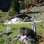 Beim Lenz